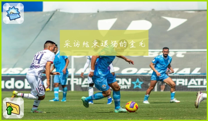 采访结束退场的金毛