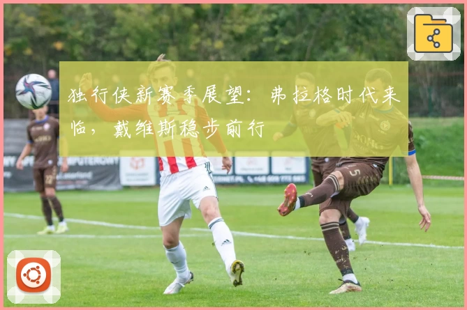 独行侠新赛季展望：弗拉格时代来临，戴维斯稳步前行