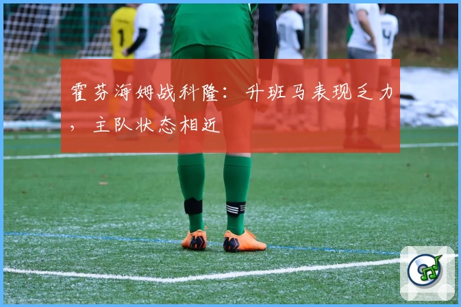 霍芬海姆战科隆:升班马表现乏力,主队状态相近