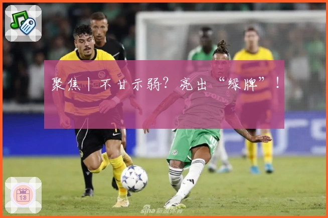 聚焦丨不甘示弱?亮出“绿牌”!