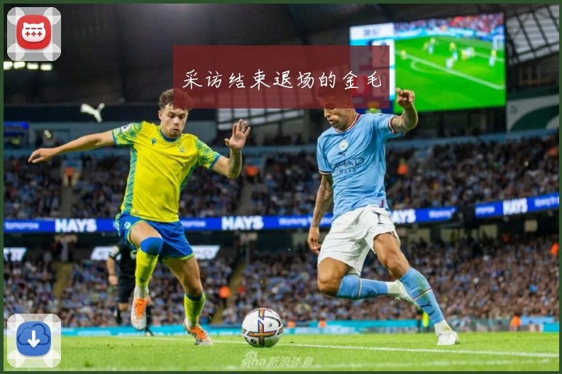 采访结束退场的金毛