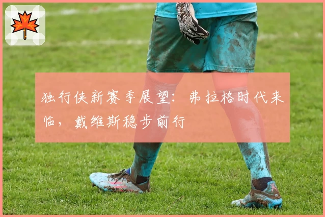 独行侠新赛季展望：弗拉格时代来临，戴维斯稳步前行